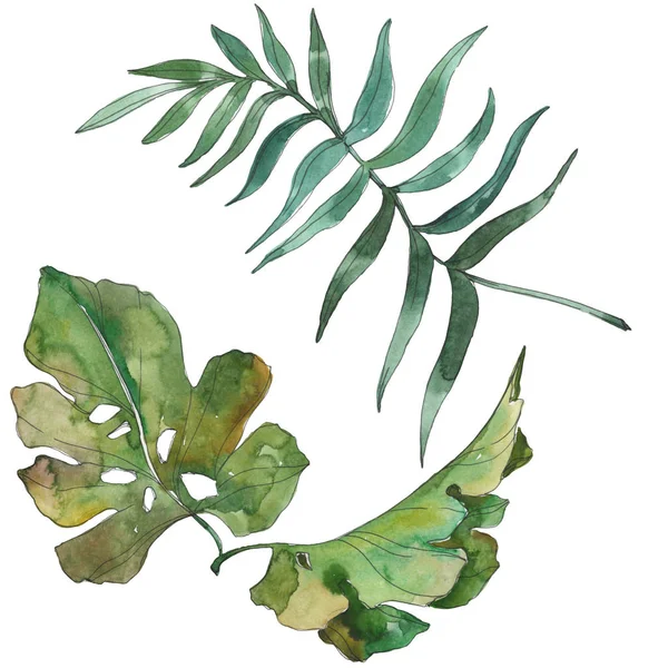 Été hawaïen tropical exotique. Feuilles de palmier. Ensemble d'illustration de fond aquarelle. Aquarelle dessin mode aquarelle isolé. Feuilles isolées élément d'illustration . — Photo de stock