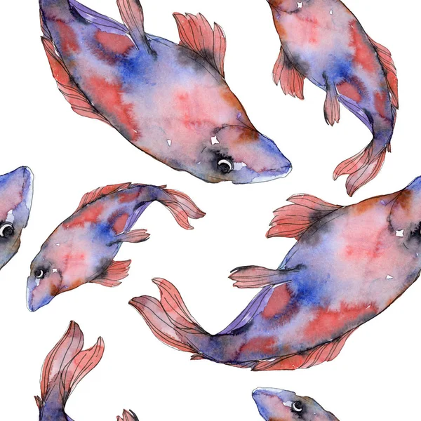 Spotted aquatic underwater colorful fish set. Red sea and exotic fishes inside. Watercolor illustration set. Watercolour drawing fashion aquarelle. Seamless background pattern. Fabric wallpaper print. — Stock Photo