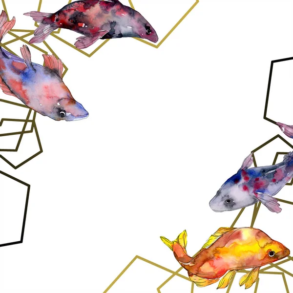 Manchado aquático subaquático colorido conjunto de peixes. Mar vermelho e peixes exóticos dentro. Conjunto de ilustração de fundo aquarela. Aquarelle desenho aquarelle moda isolado. Quadro borda ornamento quadrado . — Fotografia de Stock