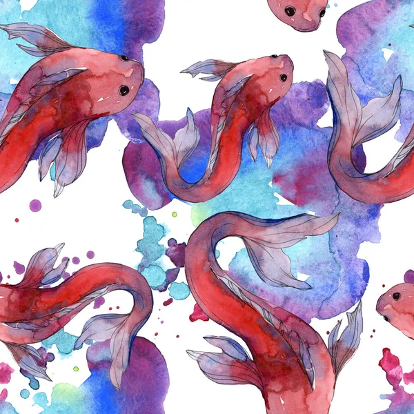 Peixes aquáticos. Mar vermelho e peixes exóticos dentro: Goldfish. Conjunto de ilustrações aquarela. Aquarelle desenho aquarelle moda. Padrão de fundo sem costura. Tecido papel de parede impressão textura . — Fotografia de Stock