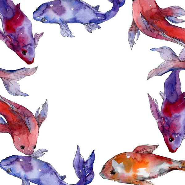Aquatic underwater tropical fish set. Red sea and exotic fishes inside: Goldfish. Watercolor background illustration set. Watercolour drawing fashion aquarelle isolated. Frame border ornament square. — Stock Photo