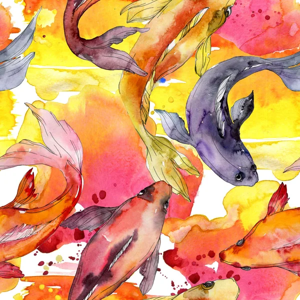 Juego de peces acuáticos. Mar Rojo y peces exóticos en su interior: Goldfish. Juego de ilustración en acuarela. Acuarela dibujo moda aquarelle. Patrón de fondo sin costuras. Textura de impresión de papel pintado de tela . - foto de stock