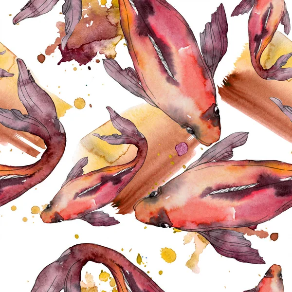 Juego de peces acuáticos. Mar Rojo y peces exóticos en su interior: Goldfish. Juego de ilustración en acuarela. Acuarela dibujo moda aquarelle. Patrón de fondo sin costuras. Textura de impresión de papel pintado de tela . - foto de stock
