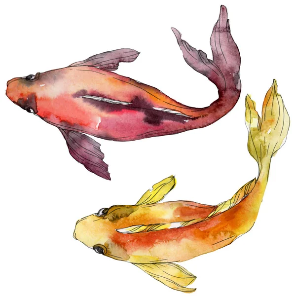Aquatic underwater colorful tropical fish set. Red sea and exotic fishes inside: Goldfish. Watercolor background set. Watercolour drawing fashion aquarelle. Isolated goldfish illustration element. — Stock Photo