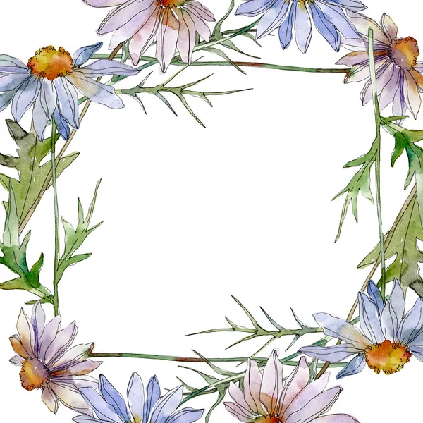 Camomilles et marguerites avec feuilles vertes aquarelle jeu d'illustration, cadre bordure ornement avec espace de copie — Photo de stock