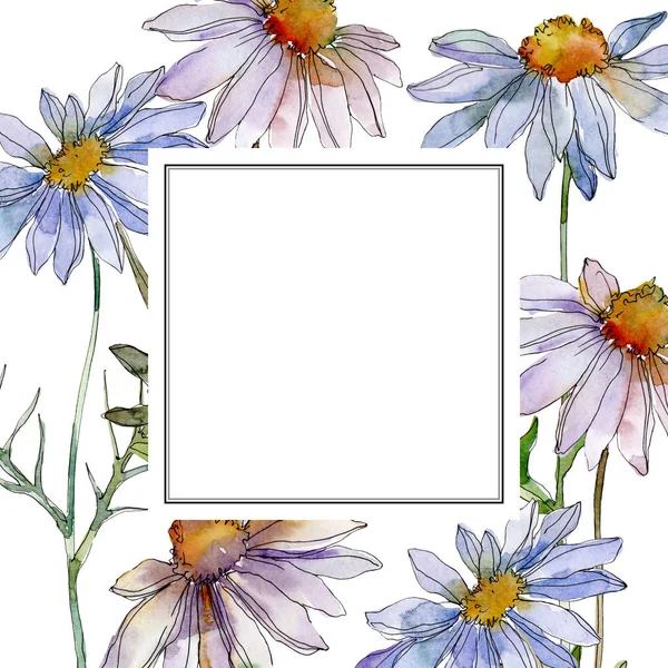 Chamomiles and daisies with green leaves watercolor illustration set, frame border ornament with copy space — Stock Photo