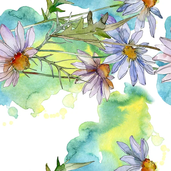 Camomilles avec des feuilles vertes illustration aquarelle, motif de fond sans couture — Photo de stock