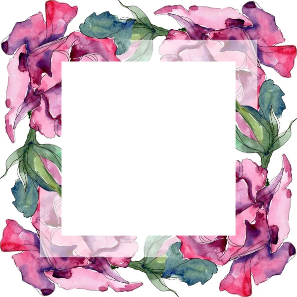 Rosa púrpura flor botánica floral. Flor silvestre de hoja de primavera aislada. Conjunto de ilustración de fondo acuarela. Acuarela dibujo moda aquarelle. Marco borde ornamento cuadrado . - foto de stock