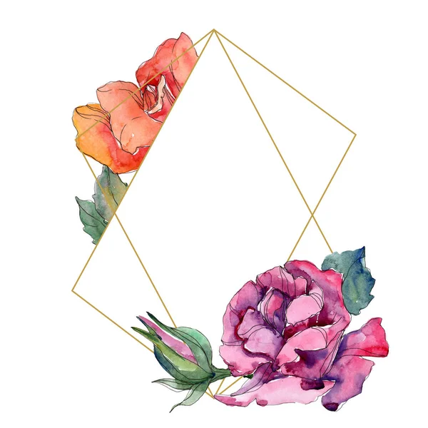 Rote und rosa Blumen Botanischer Rosenblüte. Wilde Frühling Blatt Wildblumen isoliert. Aquarell Hintergrund Illustration-Set. Aquarell Zeichnung Mode Aquarell. Frame Border Ornament Quadrat. — Stockfoto