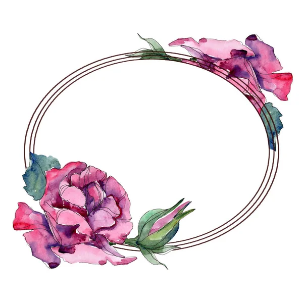 Roxo rosa flor botânica floral. Folha selvagem primavera wildflower isolado. Conjunto de ilustração de fundo aquarela. Aquarelle desenho aquarelle moda. Quadro borda ornamento quadrado . — Fotografia de Stock