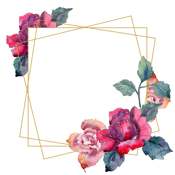 Rote und rosa Blumen Botanischer Rosenblüte. Wilde Frühling Blatt Wildblumen isoliert. Aquarell Hintergrund Illustration-Set. Aquarell Zeichnung Mode Aquarell. Frame Border Ornament Quadrat. — Stockfoto