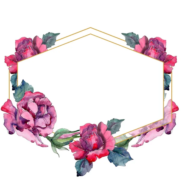 Rosa rossa e rosa fiore botanico floreale. Fiore selvatico primaverile isolato. Acquerello sfondo illustrazione set. Acquerello disegno moda acquerello. Quadrato ornamento bordo cornice . — Foto stock