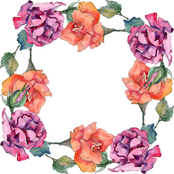 Rosa rossa e rosa fiore botanico floreale. Fiore selvatico primaverile isolato. Acquerello sfondo illustrazione set. Acquerello disegno moda acquerello. Quadrato ornamento bordo cornice . — Foto stock