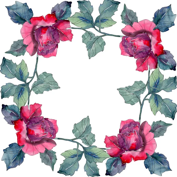 Красный и розовый цветочный ботанический цветок. Дикий весенний цветок изолирован. Набор акварельных фонов. Акварель для рисования акварелью. Граничный орнамент . — стоковое фото