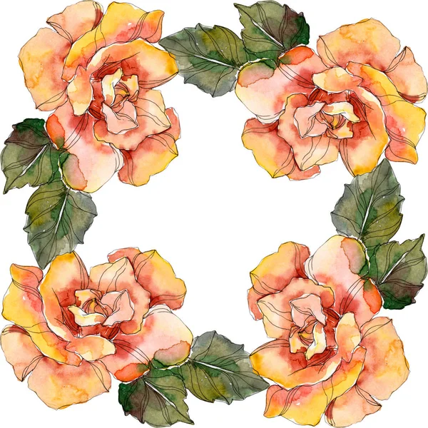 Laranja Rosa flor botânica floral. Folha selvagem primavera wildflower isolado. Conjunto de ilustração de fundo aquarela. Aquarelle desenho aquarelle moda isolado. Quadro borda ornamento quadrado . — Fotografia de Stock