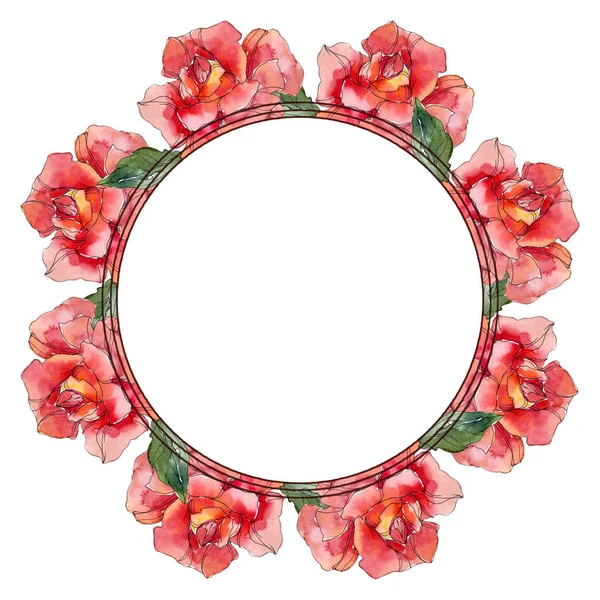 Flor botânica floral rosa vermelha. Folha selvagem primavera wildflower isolado. Conjunto de ilustração de fundo aquarela. Aquarelle desenho aquarelle moda isolado. Quadro borda ornamento quadrado . — Fotografia de Stock