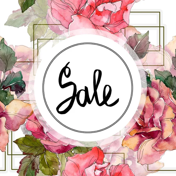 Pink rose floral botanical flower. Wild spring leaf wildflower isolated. Watercolor background illustration set. Watercolour drawing fashion aquarelle isolated. Frame border ornament square. — Stock Photo