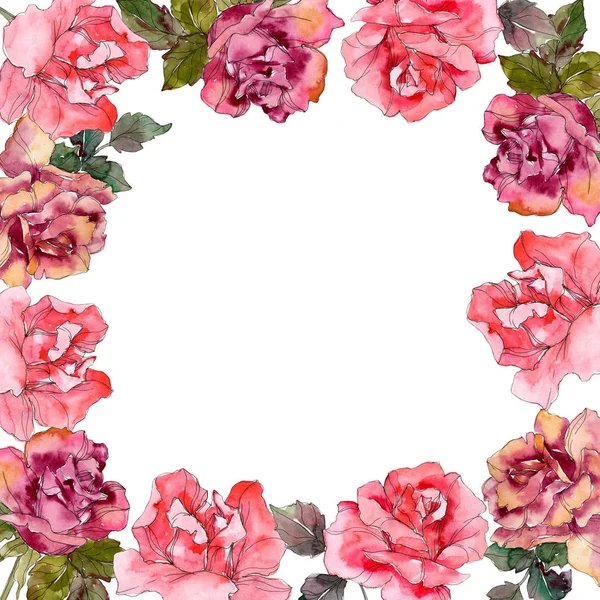 Rosa rosa flor botânica floral. Folha selvagem primavera wildflower isolado. Conjunto de ilustração de fundo aquarela. Aquarelle desenho aquarelle moda isolado. Quadro borda ornamento quadrado . — Fotografia de Stock