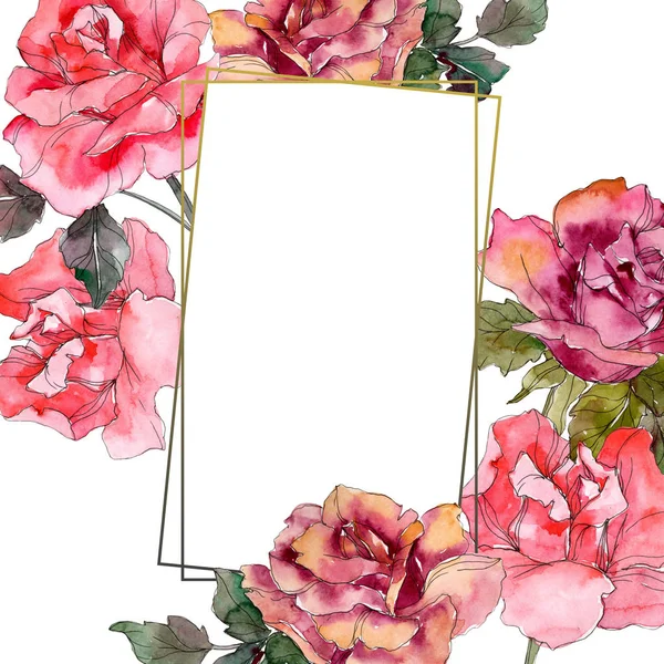 Pink rose floral botanical flower. Wild spring leaf wildflower isolated. Watercolor background illustration set. Watercolour drawing fashion aquarelle isolated. Frame border ornament square. — Stock Photo