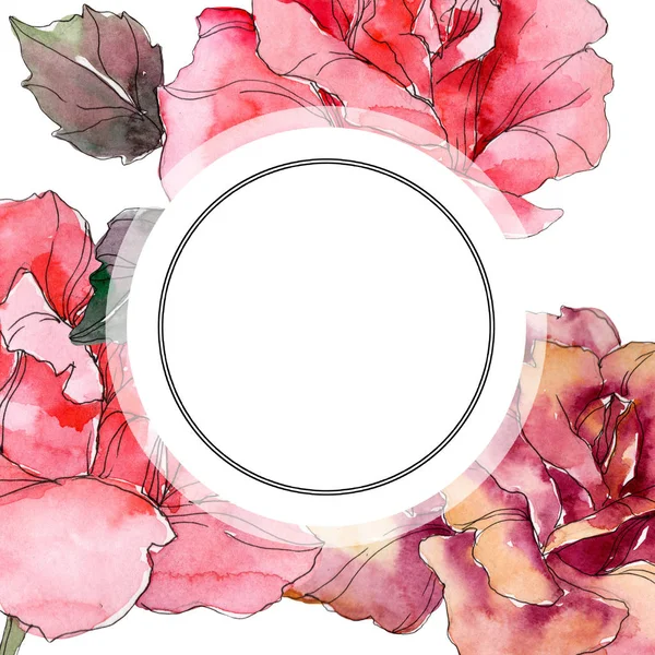 Pink rose floral botanical flower. Wild spring leaf wildflower isolated. Watercolor background illustration set. Watercolour drawing fashion aquarelle isolated. Frame border ornament square. — Stock Photo