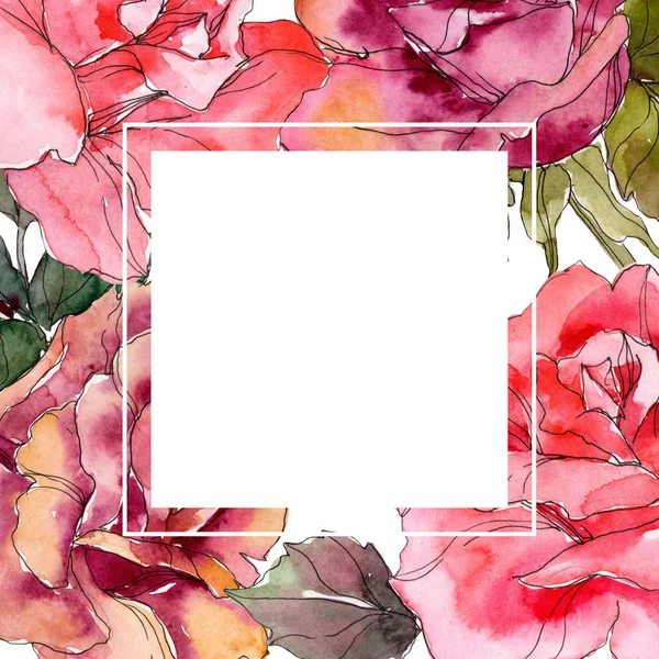 Rosa rosa flor botânica floral. Folha selvagem primavera wildflower isolado. Conjunto de ilustração de fundo aquarela. Aquarelle desenho aquarelle moda isolado. Quadro borda ornamento quadrado . — Fotografia de Stock