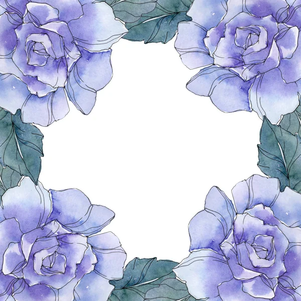 Rosa flor botánica floral. Flor silvestre de hoja de primavera aislada. Conjunto de ilustración de fondo acuarela. Acuarela dibujo moda aquarelle. Marco borde ornamento cuadrado . - foto de stock