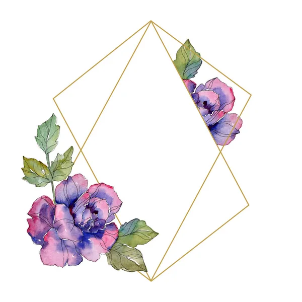 Rosa flor botânica floral. Folha selvagem primavera wildflower isolado. Conjunto de ilustração de fundo aquarela. Aquarelle desenho aquarelle moda. Quadro borda ornamento quadrado . — Fotografia de Stock