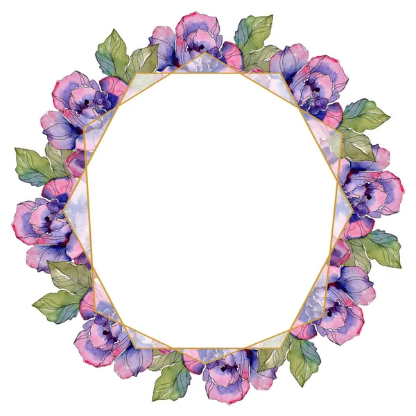 Rosa flor botânica floral. Folha selvagem primavera wildflower isolado. Conjunto de ilustração de fundo aquarela. Aquarelle desenho aquarelle moda. Quadro borda ornamento quadrado . — Fotografia de Stock