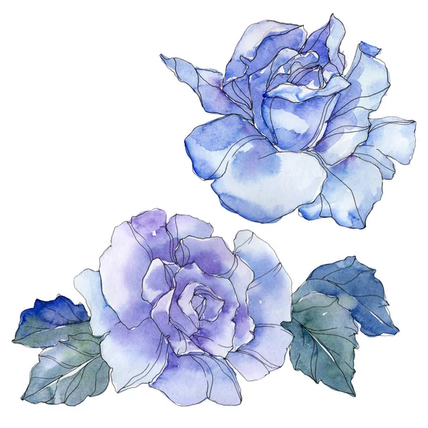 Blue rose floral botanical flower. Wild spring leaf wildflower isolated. Watercolor background illustration set. Watercolour drawing fashion aquarelle. Isolated rose illustration element. — Stock Photo