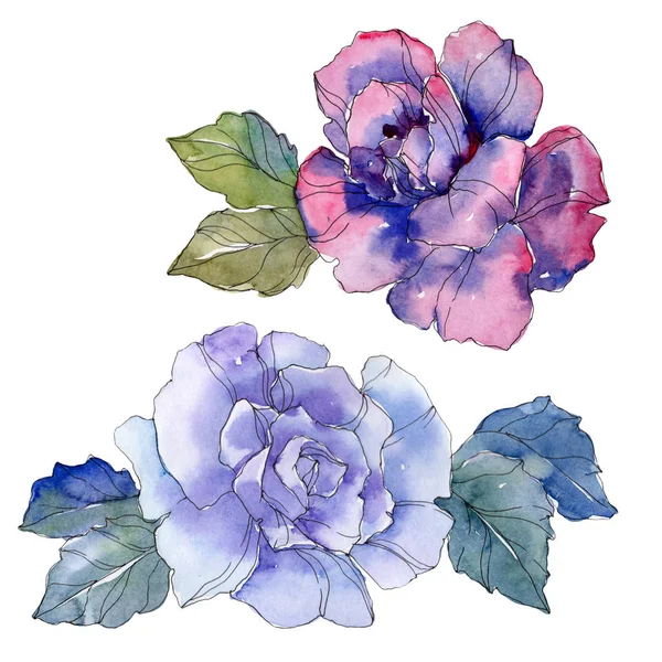 Azul e roxo rosa flor botânica floral. Folha selvagem primavera wildflower isolado. Conjunto de ilustração de fundo aquarela. Aquarelle desenho aquarelle moda. Isolado elemento ilustração rosa . — Fotografia de Stock