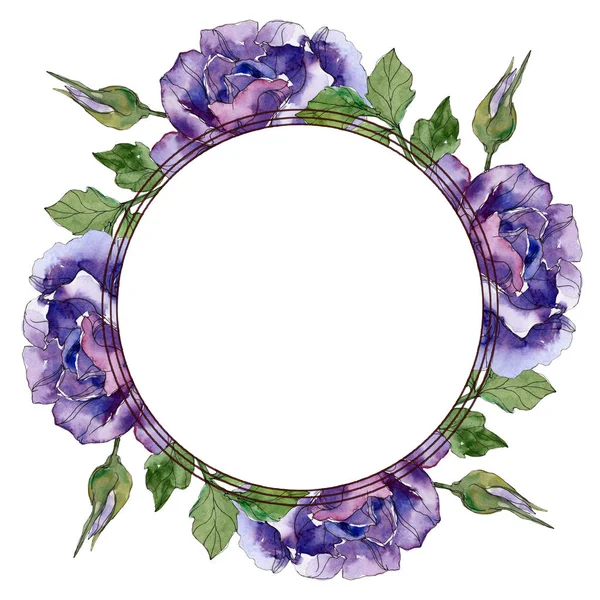 Rosa violeta flores botánicas florales. Flor silvestre de hoja de primavera aislada. Conjunto de ilustración de fondo acuarela. Acuarela dibujo moda aquarelle. Marco borde ornamento cuadrado . - foto de stock