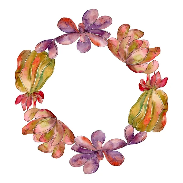 Selva suculenta flor botánica floral. Flor silvestre de hoja de primavera aislada. Conjunto de ilustración de fondo acuarela. Acuarela dibujo moda acuarela aislado. Marco borde ornamento cuadrado . - foto de stock