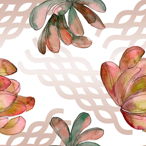 Jungle succulent flower. Spring leaf wildflower isolated. Watercolor illustration set. Watercolour drawing fashion aquarelle. Seamless background pattern. Fabric wallpaper print texture. — Stock Photo