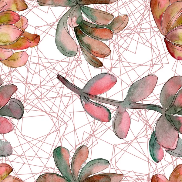 Jungle fleur succulente. Feuille de printemps fleur sauvage isolée. Ensemble d'illustration aquarelle. Aquarelle dessin mode aquarelle. Modèle de fond sans couture. Texture d'impression papier peint tissu . — Photo de stock