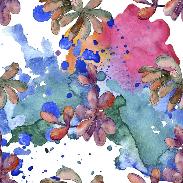 Selva flor suculenta. Flores silvestres de hoja primaveral aisladas. Juego de ilustración en acuarela. Acuarela dibujo moda aquarelle. Patrón de fondo sin costuras. Textura de impresión de papel pintado de tela . — Stock Photo