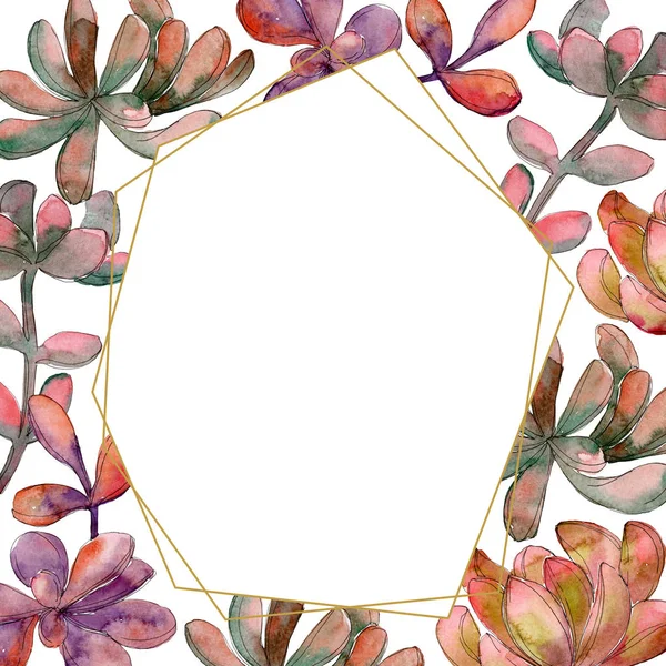 Giungla succulento fiore botanico floreale. Fiore selvatico primaverile isolato. Acquerello sfondo illustrazione set. Acquerello disegno moda acquerello isolato. Quadrato ornamento bordo cornice . — Foto stock