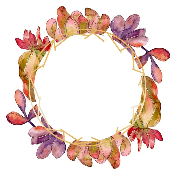 Selva suculenta flor botánica floral. Flor silvestre de hoja de primavera aislada. Conjunto de ilustración de fondo acuarela. Acuarela dibujo moda acuarela aislado. Marco borde ornamento cuadrado . - foto de stock