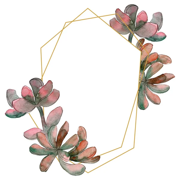 Selva suculenta flor botánica floral. Flor silvestre de hoja de primavera aislada. Conjunto de ilustración de fondo acuarela. Acuarela dibujo moda acuarela aislado. Marco borde ornamento cuadrado . - foto de stock