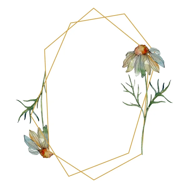 Kamille mit grünen Blättern Aquarell-Illustrationsset, Rahmen-Ornament mit Kopierraum — Stockfoto