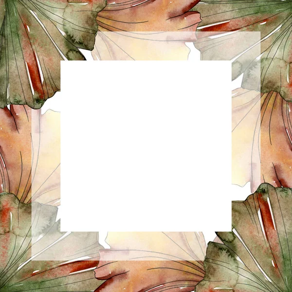 Grün rot Ginkgo biloba Blätter. Aquarell Hintergrund Illustrationsset. Rahmen Rand Ornament Quadrat. — Stockfoto