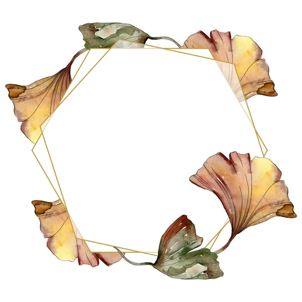 Зеленый красный гинкго билоба leaves.Watercolor фон иллюстрации набор. Граничный орнамент . — Stock Photo