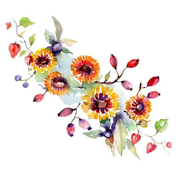 Bouquet de fleurs et de baies. Ensemble d'illustration de fond aquarelle. Elément d'illustration de bouquet isolé . — Photo de stock