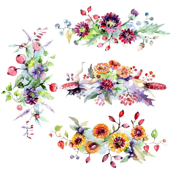 Bouquet de fleurs et de baies. Ensemble d'illustration de fond aquarelle. Elément d'illustration de bouquet isolé . — Photo de stock