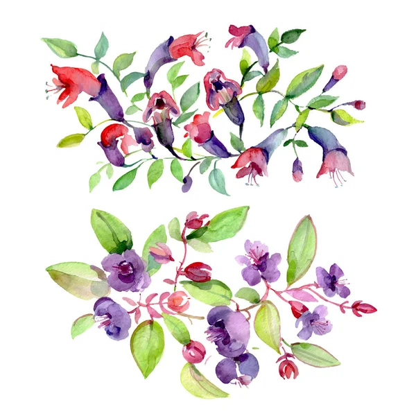 Bouquets of purple flowers with green leaves isolated on white. Watercolor background illustration elements. — Stock Photo