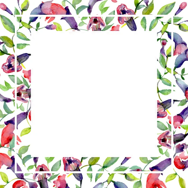 Flowers with green leaves isolated on white. Watercolor background illustration elements. Frame with copy space. — Stock Photo