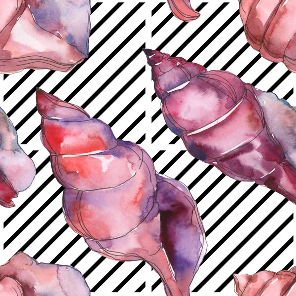 Coquilles marines tropicales violettes sur fond rayé noir et blanc. Ensemble d'illustration de fond aquarelle. Modèle de fond sans couture . — Photo de stock