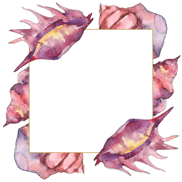Фіолетові морські тропічні черепашки ізольовані на білому. Акварельна рамка ілюстрації з простором для копіювання . — стокове фото