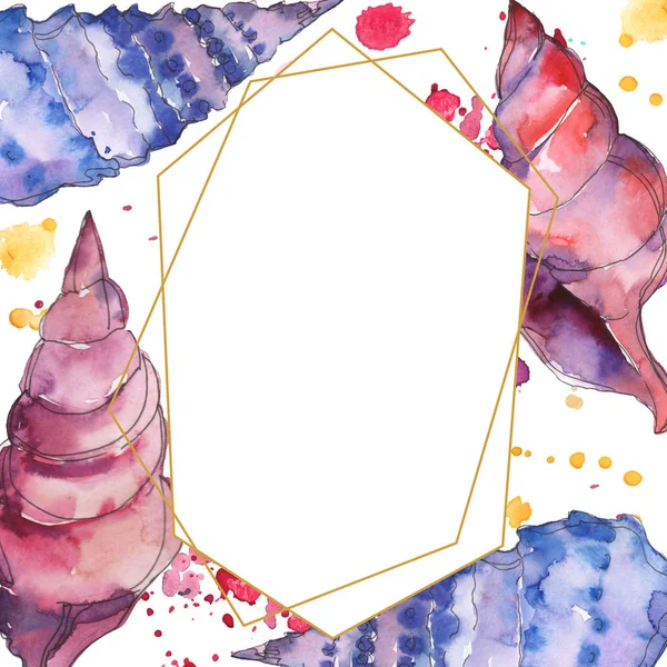 Blue and purple marine tropical seashells isolated on white. Watercolor illustration frame with copy space. — Stock Photo