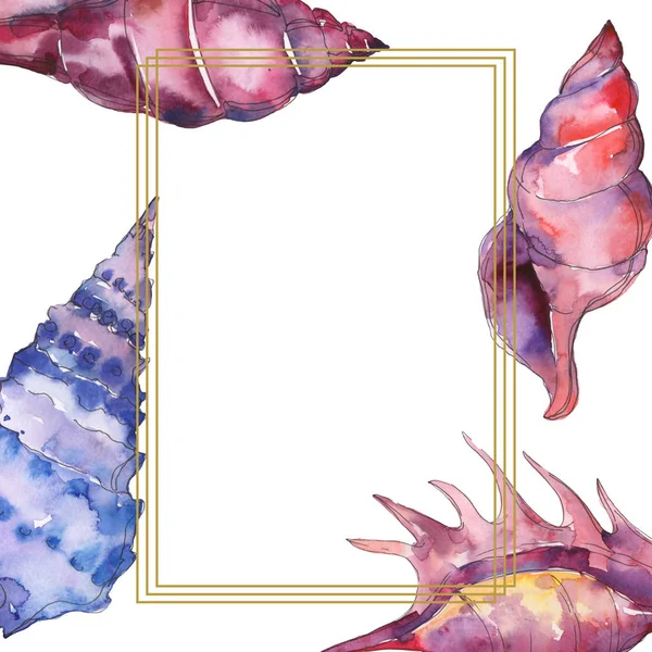 Blue and purple marine tropical seashells isolated on white. Watercolor illustration frame with copy space. — Stock Photo