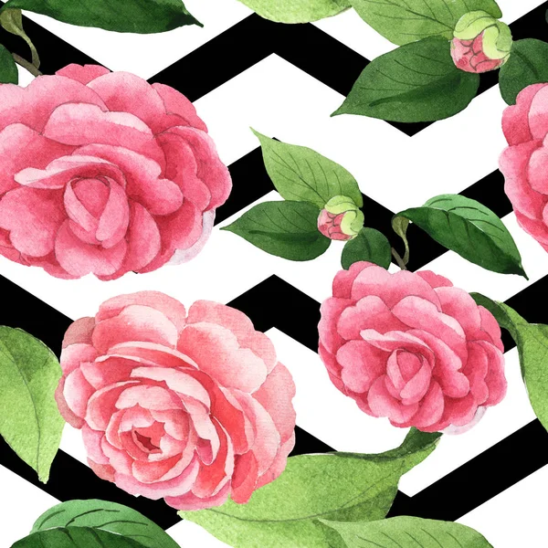 Pink camellia flowers with green leaves on white background with black lines. Watercolor illustration set. Seamless background pattern. — Stock Photo